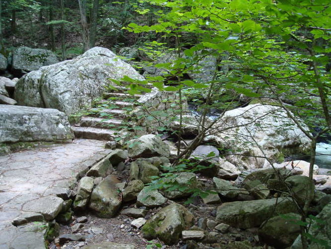 Picture 3 of The Cascades and Barneys Wall Hike 052710