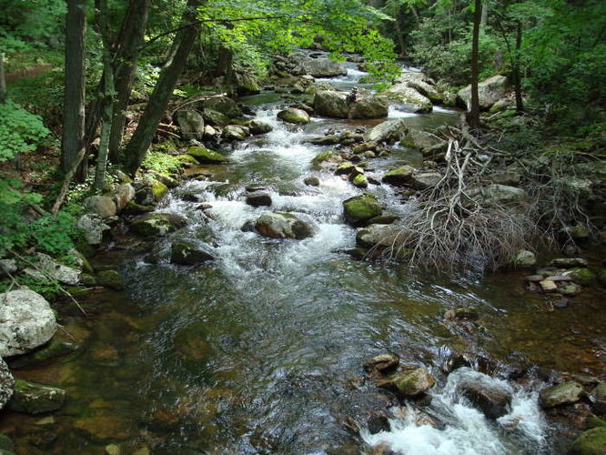 Picture 4 of The Cascades and Barneys Wall Hike 052710