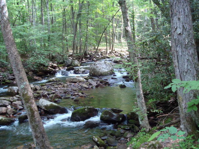 Picture 5 of The Cascades and Barneys Wall Hike 052710