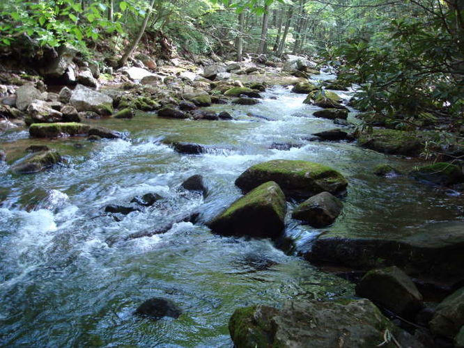 Picture 6 of The Cascades and Barneys Wall Hike 052710