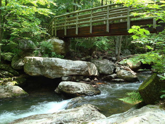 Picture 11 of The Cascades and Barneys Wall Hike 052710