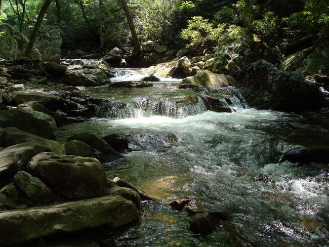 Picture 12 of The Cascades and Barneys Wall Hike 052710