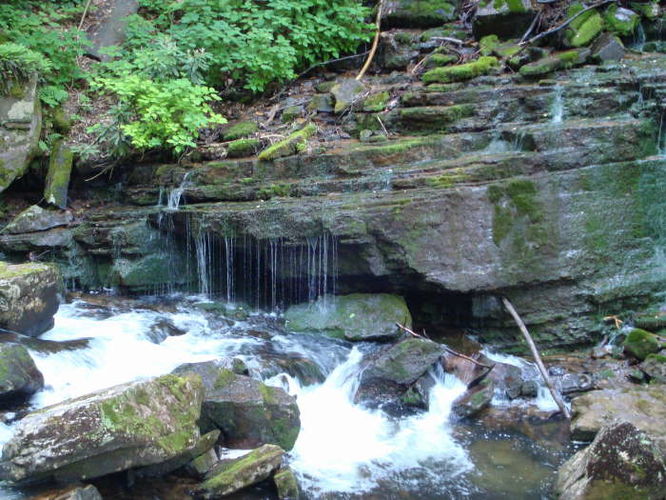 Picture 18 of The Cascades and Barneys Wall Hike 052710
