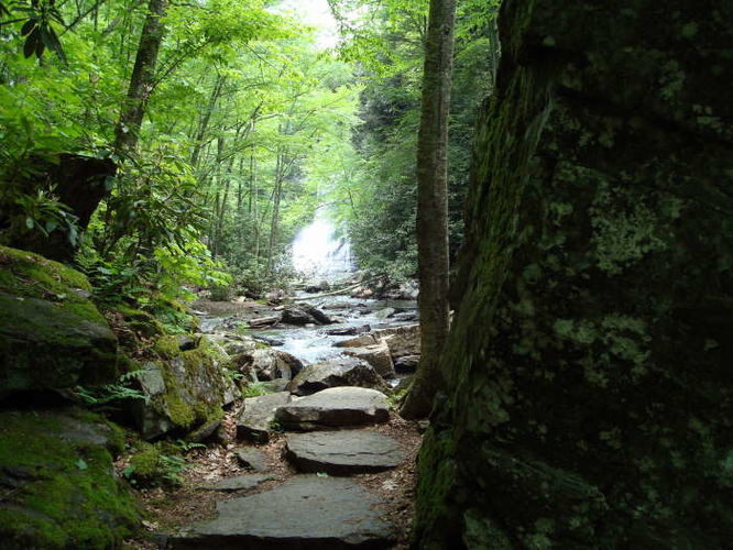 Picture 21 of The Cascades and Barneys Wall Hike 052710