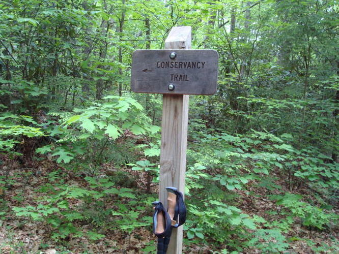 Picture 27 of The Cascades and Barneys Wall Hike 052710