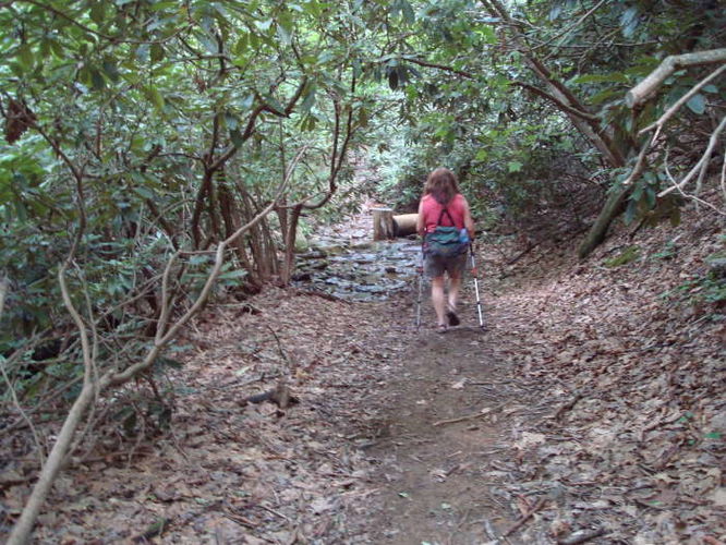 Picture 28 of The Cascades and Barneys Wall Hike 052710