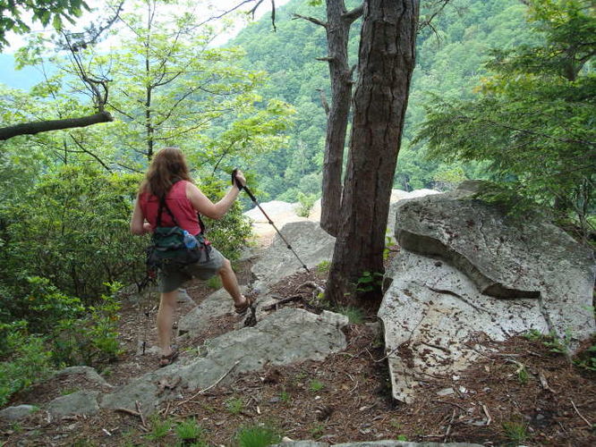 Picture 32 of The Cascades and Barneys Wall Hike 052710