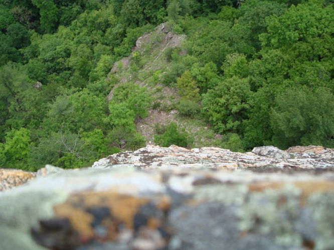 Picture 38 of The Cascades and Barneys Wall Hike 052710