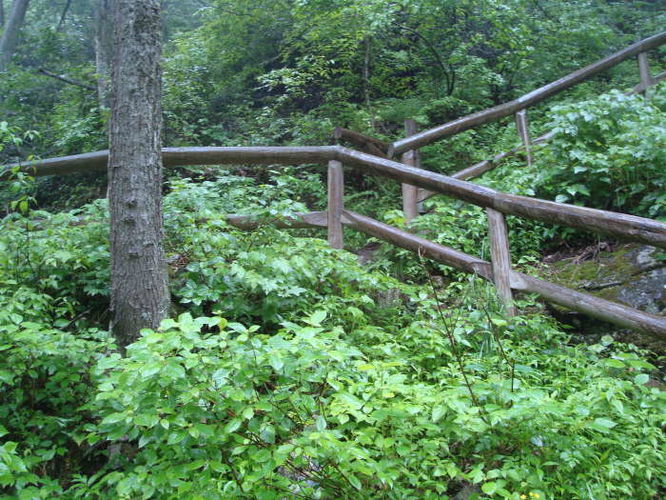 Picture 41 of The Cascades and Barneys Wall Hike 052710