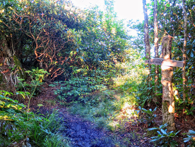 Picture 34 of The Hangover Hike 081917