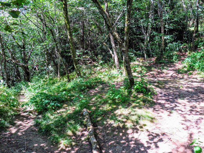 Picture 43 of The Hangover Hike 081917