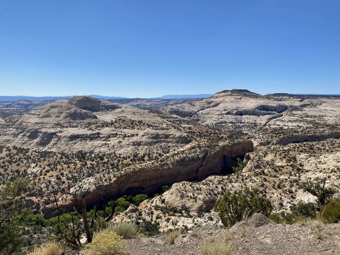 The Hogback Vista