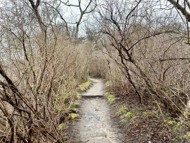 Sandy trail of The Knob