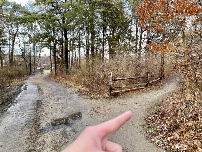 Right-hand turn to keep on main trail