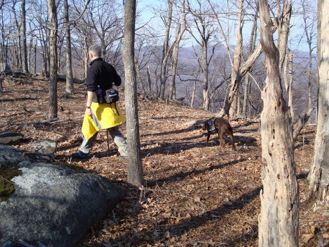 Picture 4 of The Peak Hike 021409