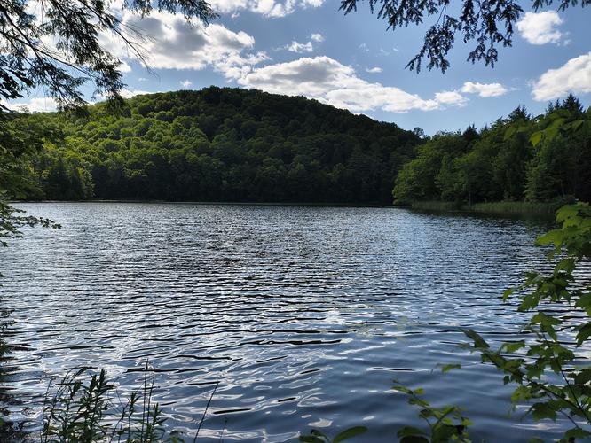 The Pogue (pond)