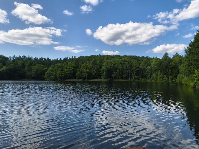 Default image for The Pogue via Prosper Trail, a 2.6-mile trail in Woodstock, Vermont (US)