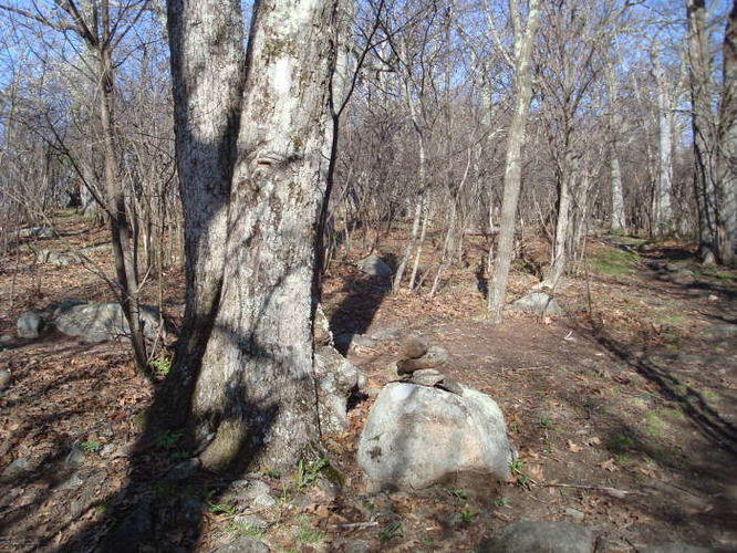 Picture 2 of The Priest Hike 050810