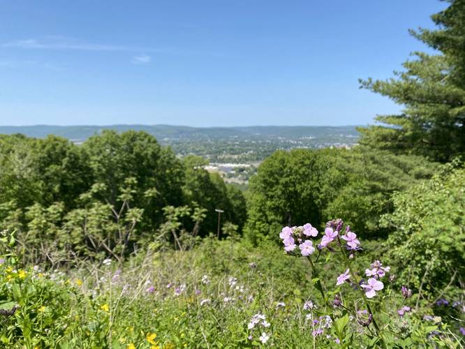 The Valley Overlook