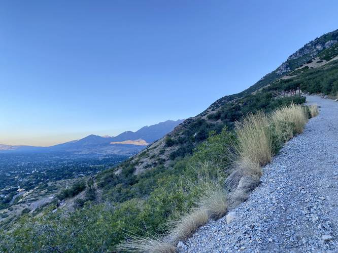 Hiking up the Y Trail