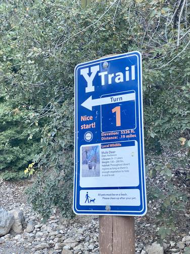 Y Trail stop #1