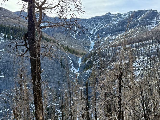 View into the canyon of This House of Sky ice route