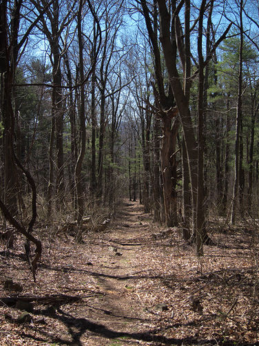 Picture 6 of Thornton River Hike 040316