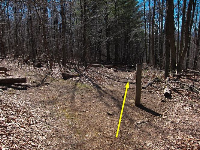 Picture 7 of Thornton River Hike 040316