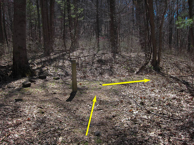 Picture 9 of Thornton River Hike 040316