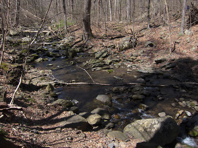 Picture 11 of Thornton River Hike 040316
