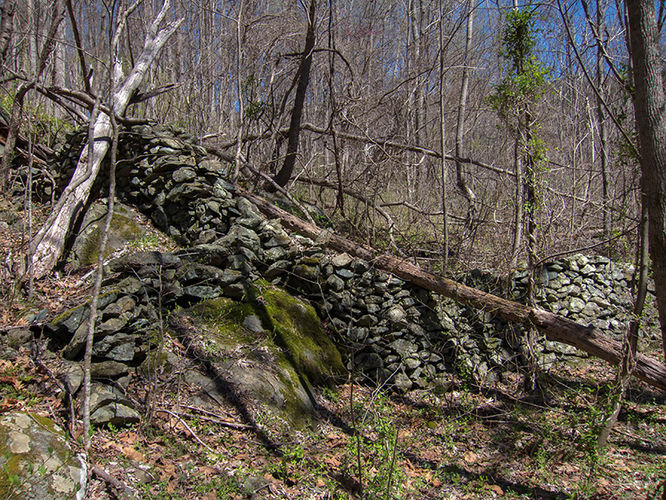 Picture 12 of Thornton River Hike 040316