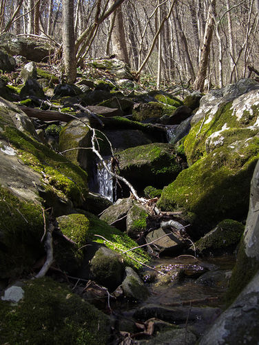 Picture 13 of Thornton River Hike 040316