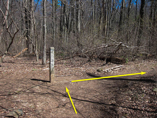 Picture 15 of Thornton River Hike 040316