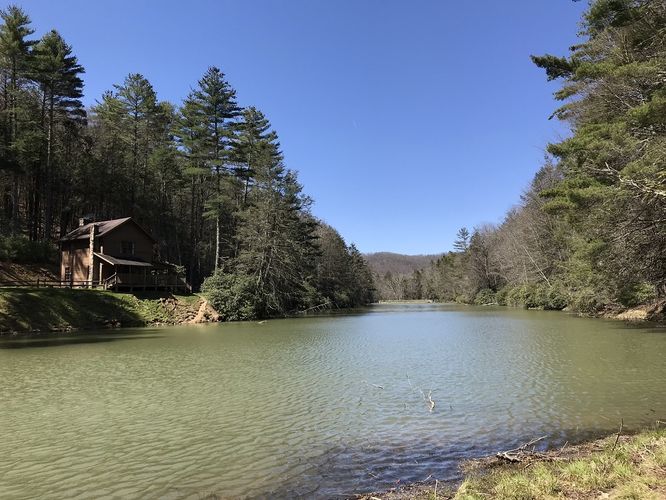 Default image for Thorny Mountain Lookout Tower Hike, a 3.9-mile trail in Dunmore, WV (US)