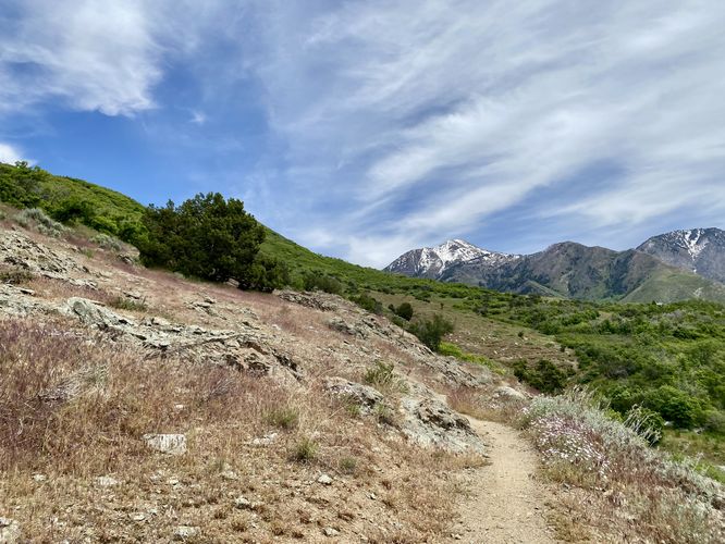 Mountain views along the Forbidden Trail