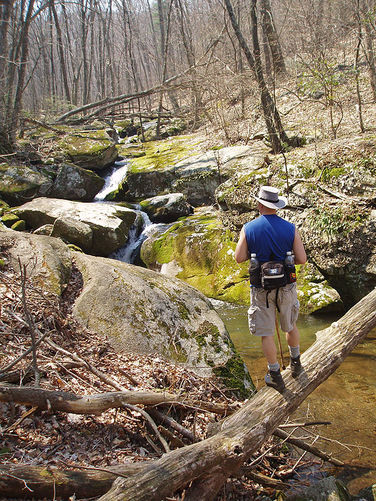 Picture 16 of Three Falls Hike 041808