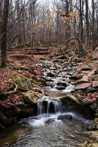 Picture 8 of Three Falls Hike 103115