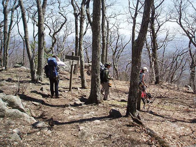 Picture 19 of Three Ridges Hike 042107