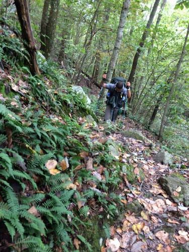 Picture 10 of Three Ridges Hike 100116