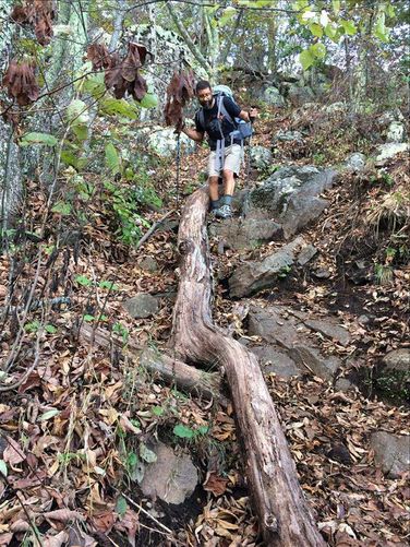 Picture 2 of Three Ridges Hike 100116