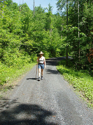 Picture 5 of Three Top Mountain Hike 052204