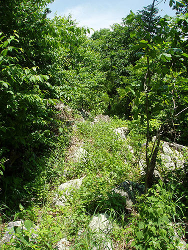 Picture 4 of Three Top Mountain Hike 052204