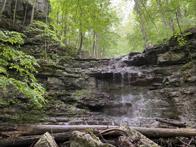 Three Woods Falls Blue Loop - Three Woods Falls Blue Loop album