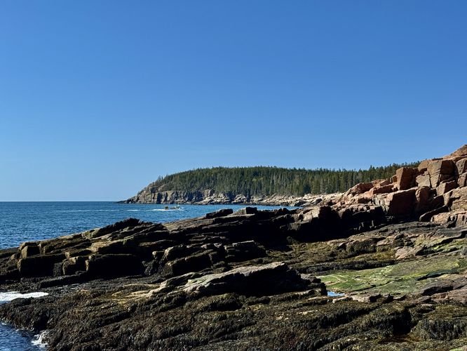 View of the Otter Cliffs