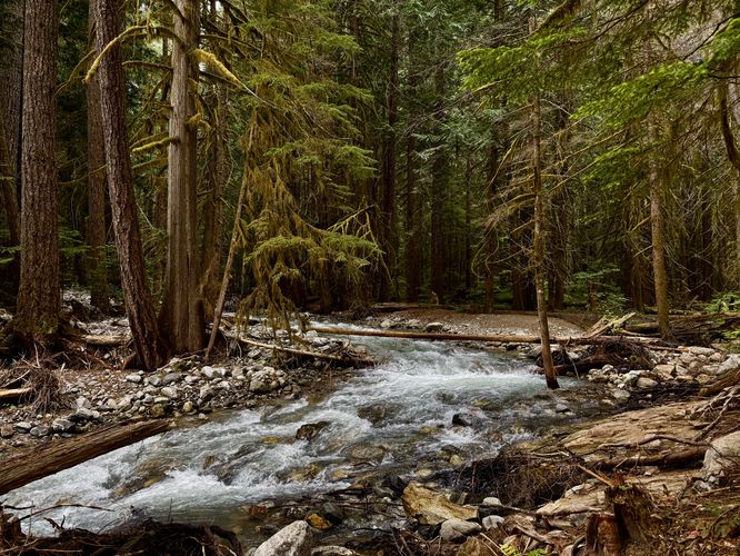 Scenic Colonial Creek flows through the forest