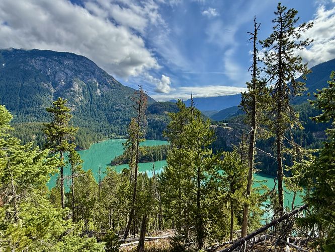 Trees obstruct the view of Diablo Lake from the end of the trail