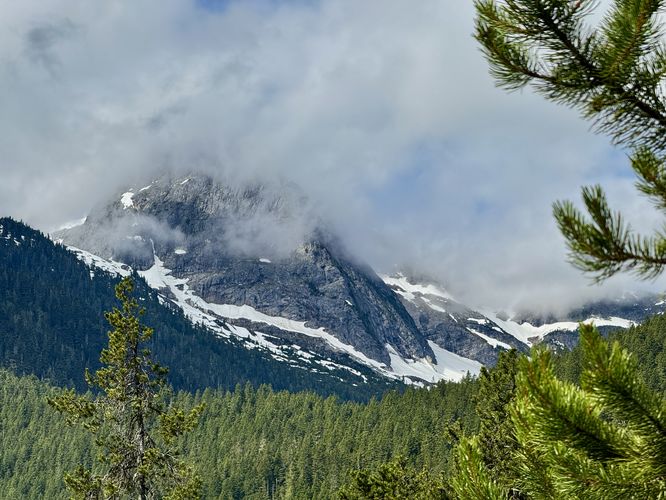 View of alpine peaks and snow fields