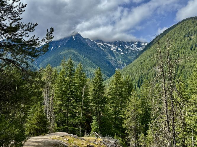 Alpine vistas
