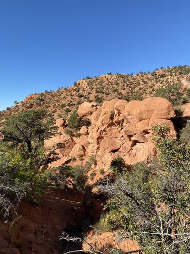 Steep terrain around the disc golf course