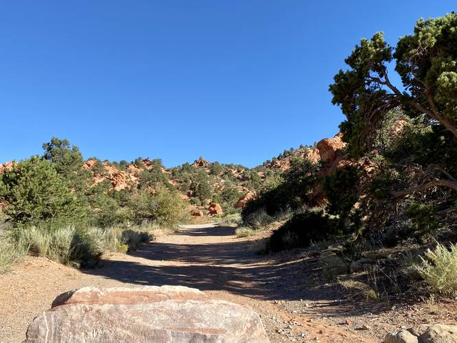 Trail leads into the disc golf course